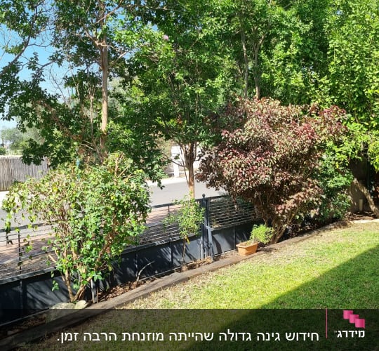 עצים ושיחים בגינה עם דשא ירוק
